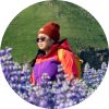 Traveler in a red beanie and colorful jacket walking through a field of purple lupines in Iceland.