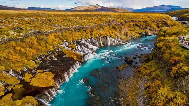 The beautiful Hraunfossar Waterfall in Iceland features multiple streams of clear, turquoise water flowing over a rugged lava field, surrounded by vibrant autumn foliage under a bright blue sky.