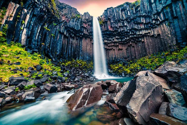 Svartifoss Waterfall in Iceland, showcasing water cascading over striking black basalt columns, surrounded by lush green moss and jagged rocks, under a twilight sky with hues of pink and purple.