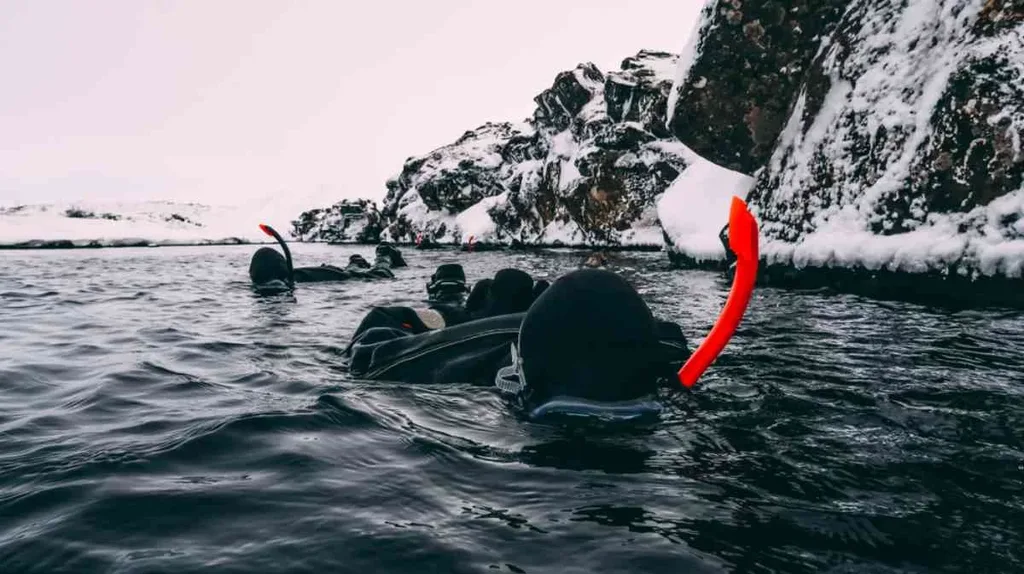 A group of snorkelers in black wetsuits exploring the icy waters of Iceland during winter. The snowy landscape and rugged rocks in the background create a striking contrast with the dark, cold water.