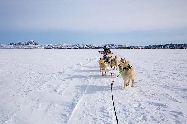 A team of sled dogs pulls a sled across a vast, snowy landscape in Iceland, with mountains visible in the distance.