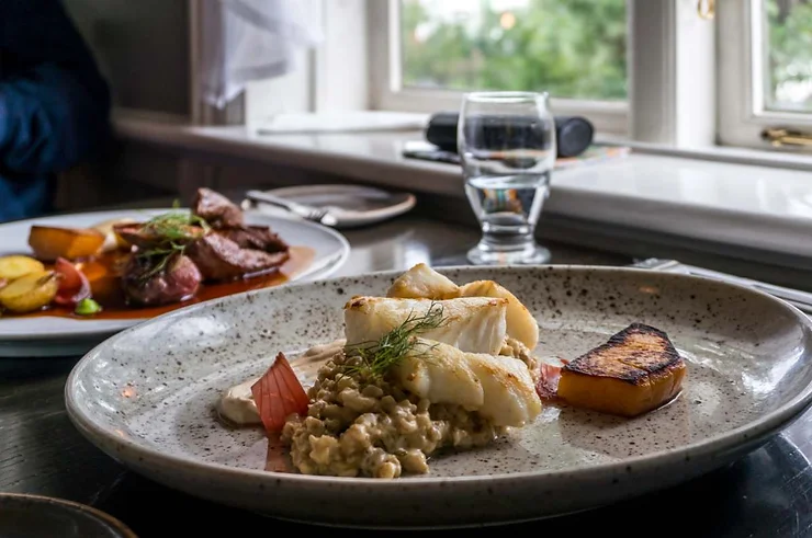 A close-up of a beautifully plated dish featuring Icelandic cuisine, with a main dish of fish, creamy risotto, and grilled vegetables, set on a dining table with another dish and a glass of water in the background.