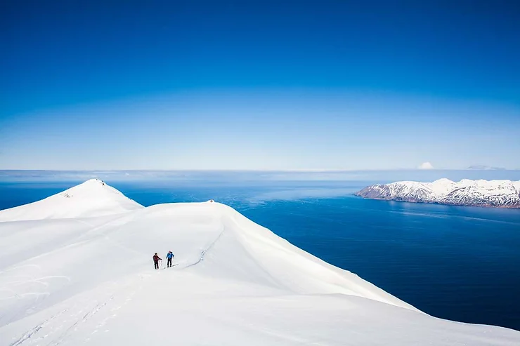 Two skiers traversing a pristine snow-covered mountain ridge in Iceland, with a stunning view of the blue ocean and snow-capped mountains in the distance under a clear blue sky.