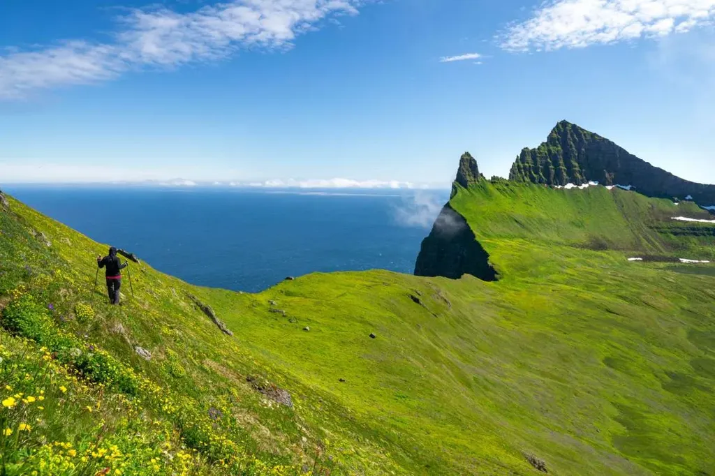 A hiker traversing the verdant slopes of the Westman Islands in Iceland, surrounded by a sea of green grass and wildflowers. The path leads towards the jagged cliffs rising from the ocean, under a bright blue sky dotted with wispy clouds. The vast expanse of the North Atlantic Ocean stretches out in the background, meeting the horizon with a gentle mist. The scene captures the serene beauty and rugged terrain of this remote hiking destination, offering a sense of adventure and tranquility.