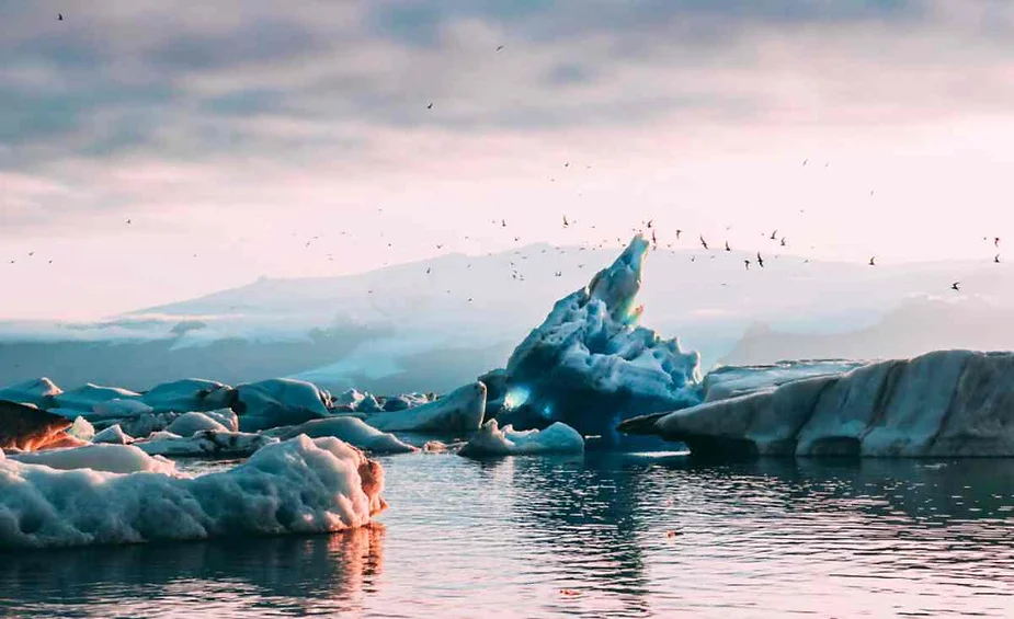 Icebergs floating in a serene glacial lagoon during sunset in Iceland. The largest iceberg in the center of the image rises dramatically, reflecting hues of pink and blue from the sky. Birds can be seen flying overhead, adding to the tranquil and surreal atmosphere. The calm water mirrors the ice formations and the soft colors of the evening sky, creating a picturesque and ethereal scene.