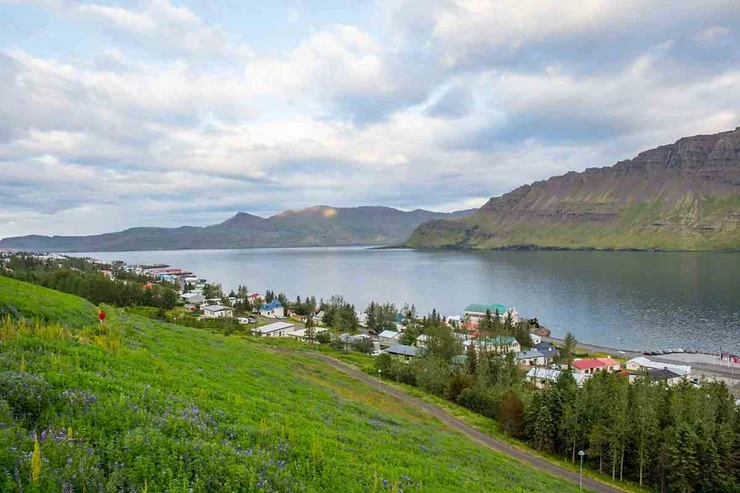 A scenic view of Nordfjordur fjord in Iceland, featuring a lush green hillside overlooking a quaint village with houses, trees, and a calm fjord surrounded by mountains in the distance.