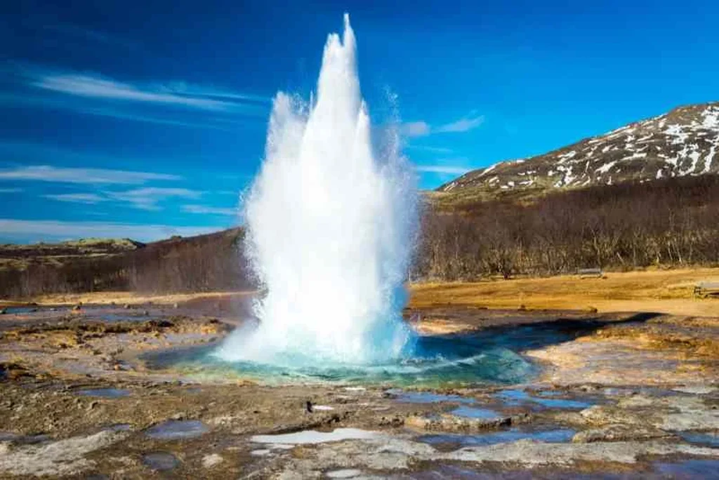 A spectacular view of Strokkur geyser in Iceland, captured mid-eruption against a clear blue sky. The geyser shoots a powerful stream of water high into the air, surrounded by a rocky, geothermal landscape. Snow-capped mountains and leafless trees in the background add to the natural beauty of the scene, showcasing the dramatic and pristine Icelandic terrain.