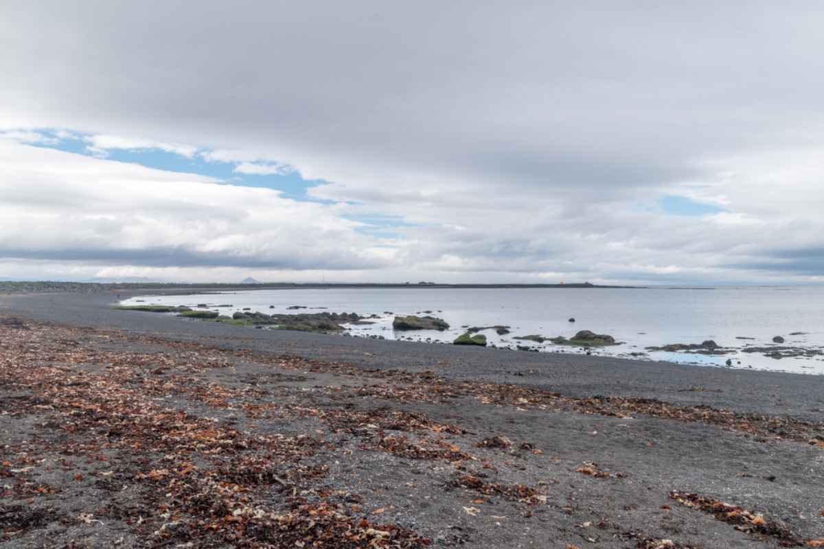 Seashore at Seltjorn on Iceland at cloudy day