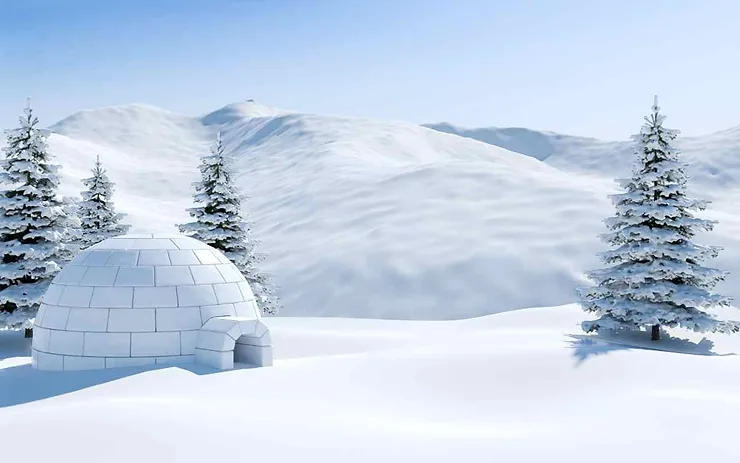 An igloo surrounded by snow-covered trees and rolling snowy hills under a clear blue sky.