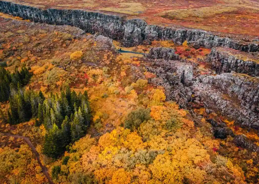 Aerial view of Thingvellir National Park in Iceland during autumn, showcasing vibrant fall foliage, rugged cliffs, and lush green trees.