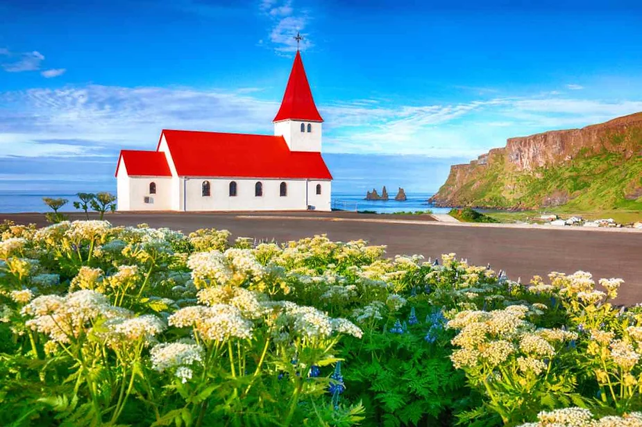 Beautiful red-roofed church in Vik, Iceland, surrounded by blooming wildflowers, with the stunning Reynisdrangar sea stacks in the background.