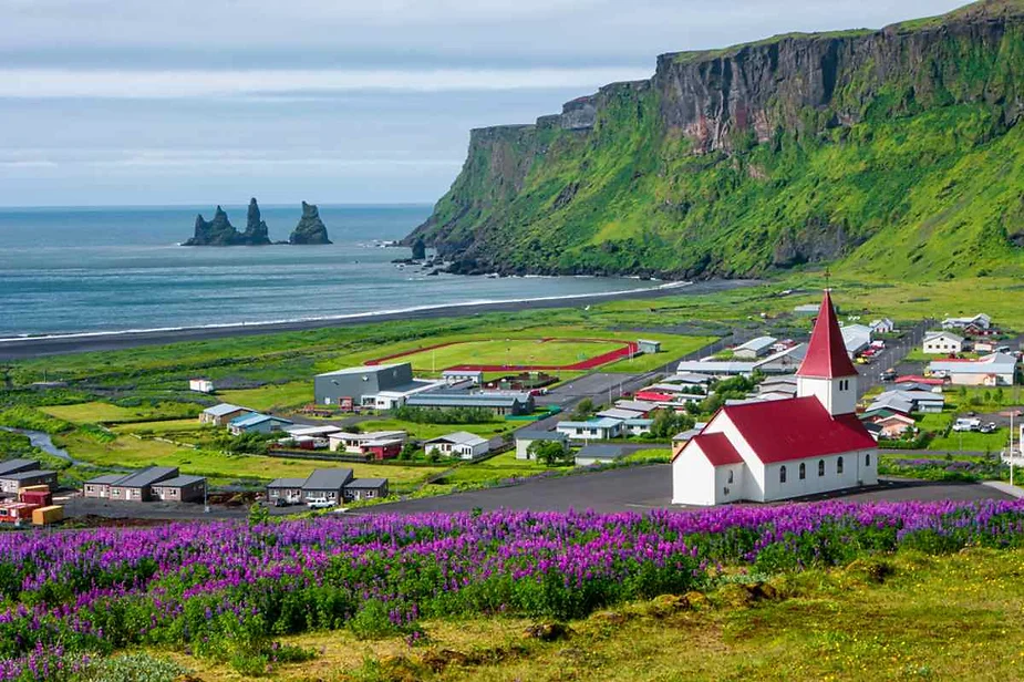 Scenic view of Vik village in Iceland with a white church with a red roof, surrounded by lush green hills, purple flowers, and the iconic Reynisdrangar sea stacks in the background.