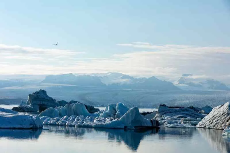 Serene view of floating icebergs in Jökulsárlón Glacier Lagoon, Iceland, with snow-covered mountains in the distance under a clear blue sky.