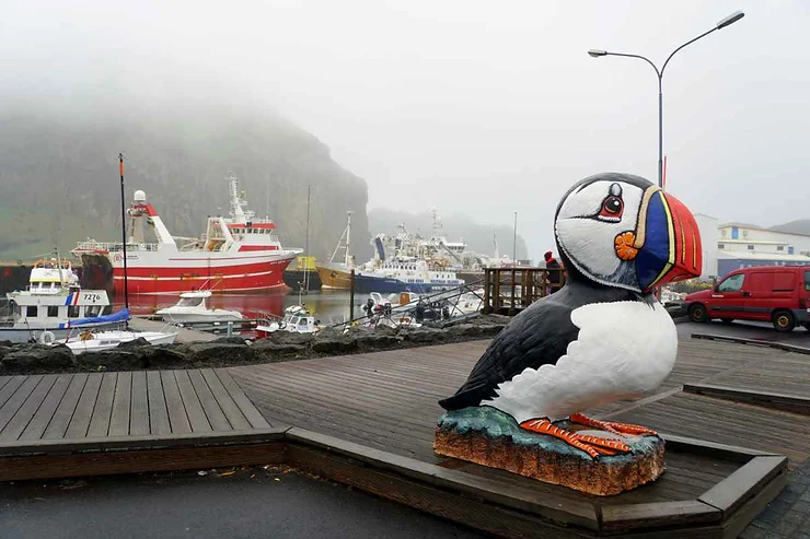 Large puffin statue in the harbor of the Westman Islands, Iceland, with fishing boats docked and foggy cliffs in the background.