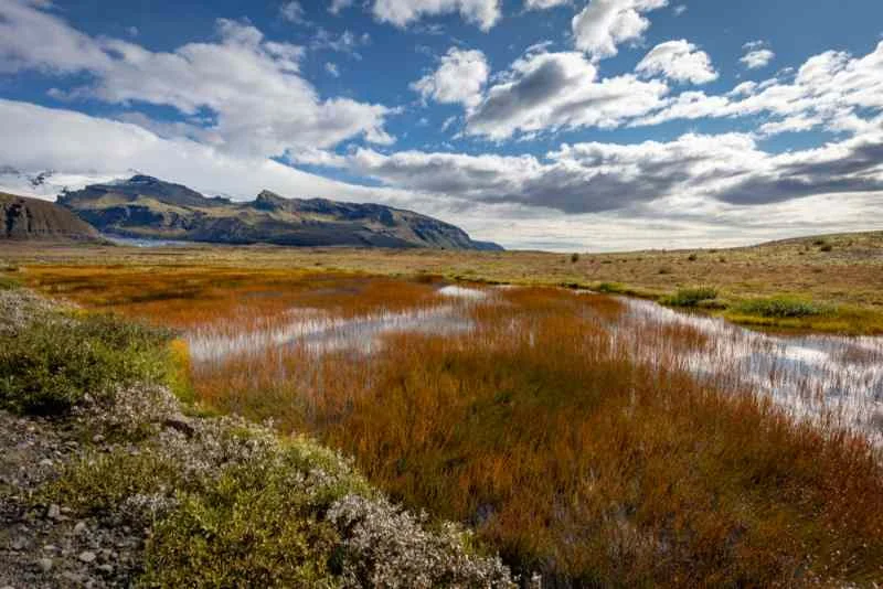 A serene wetland area with vibrant autumn colors, reflecting the blue sky and clouds above, surrounded by a vast landscape of mountains and open plains in Iceland.