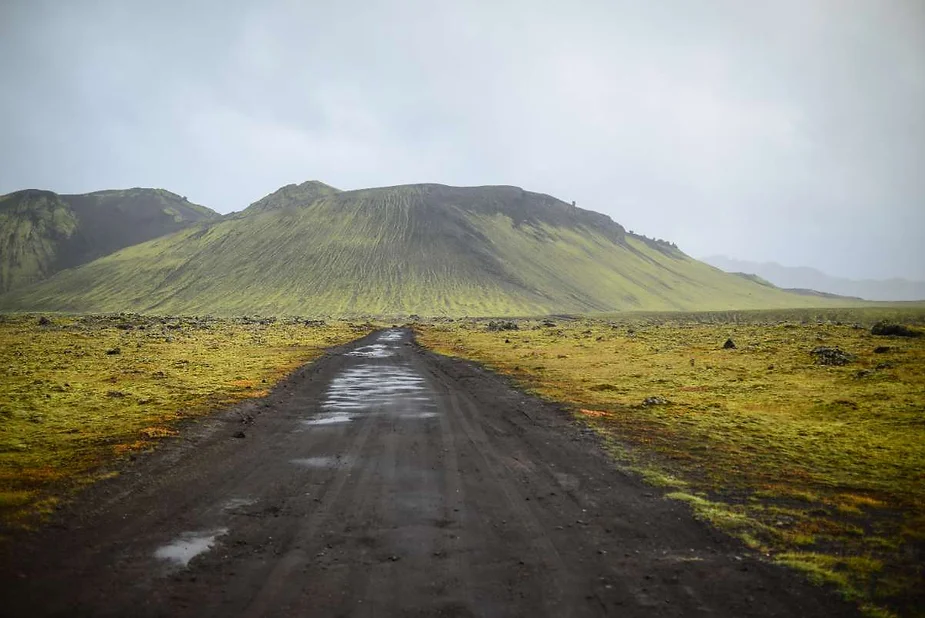 A lonely dirt road stretches out across a vast, moss-covered landscape, leading towards a distant, mist-shrouded volcanic hill under a gray, overcast sky in Iceland.