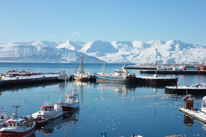 Views of Husavik in winter