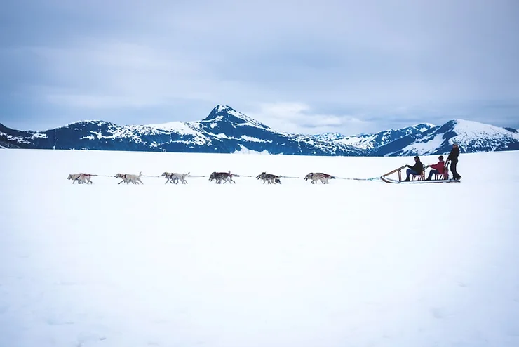 A team of huskies pulls a sled across a vast, snowy landscape in Iceland. The scene is expansive, with the dogs spread out in a long line as they dash forward, their muscular bodies straining against their harnesses. The sled carries two people, bundled up against the cold, while the sled driver stands behind them, guiding the dogs. In the background, towering, snow-capped mountains rise against a cloudy sky, adding to the dramatic and serene atmosphere of the Arctic wilderness.