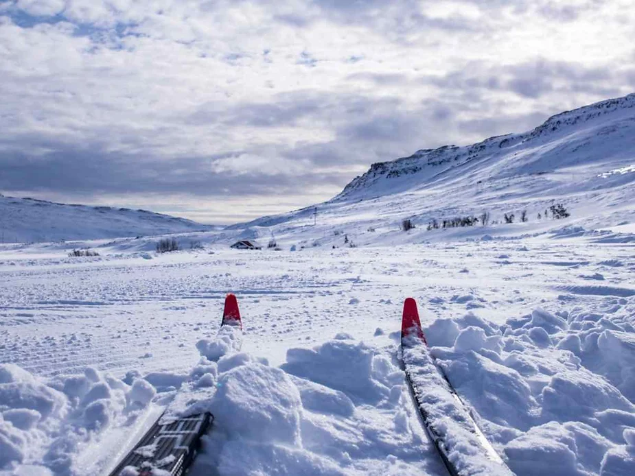 Pair of cross-country skis on a snow-covered landscape in Iceland, with a view of distant mountains under a cloudy sky, showcasing a winter adventure setting