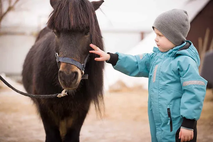 Things to do in iceland with kids: horse riding