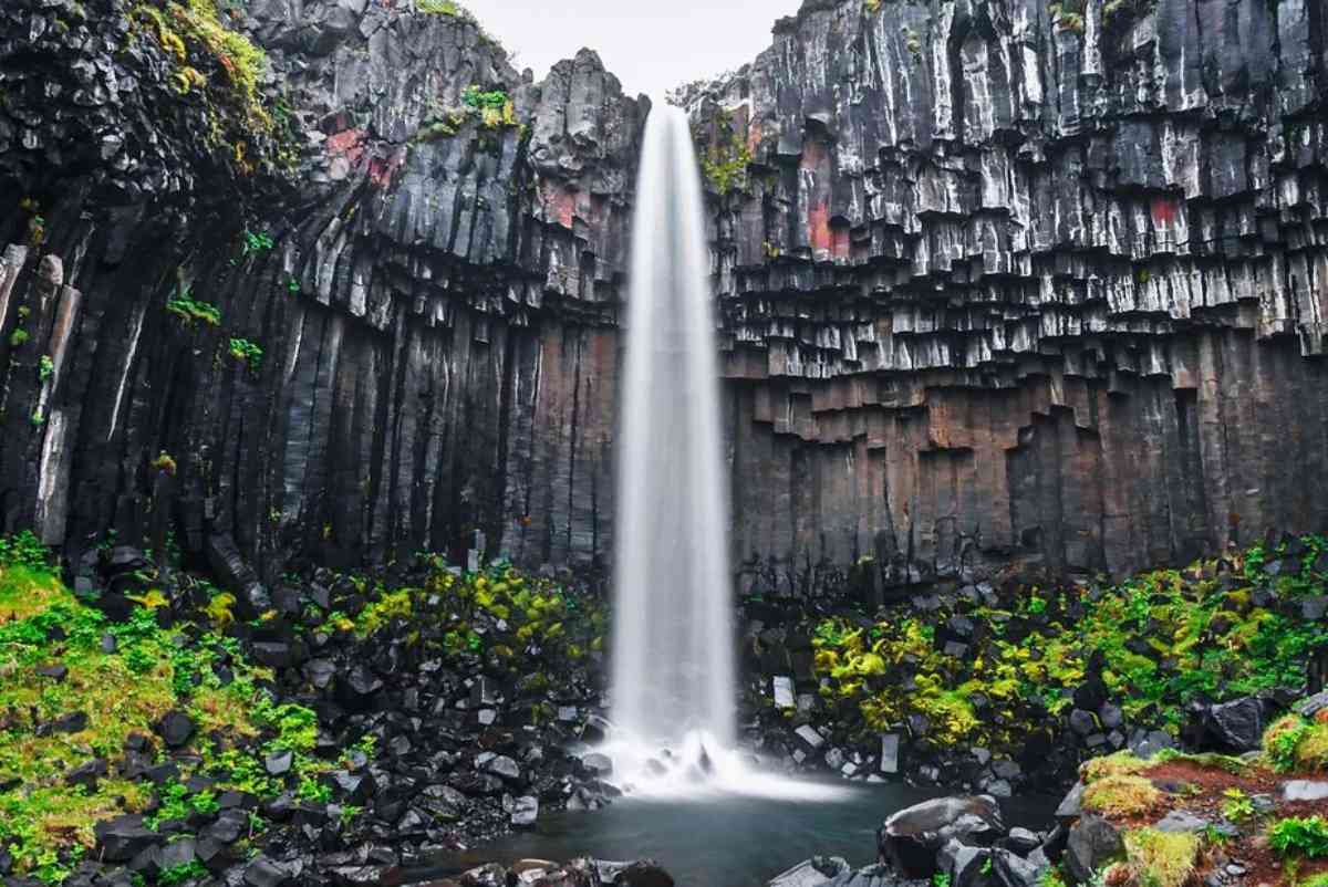 Svartifoss: the Black Waterfall of Iceland