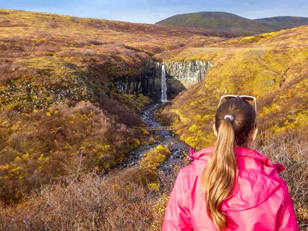 View of Svartifoss waterfall in Iceland from a distance, framed by golden autumn foliage and a woman in a pink jacket standing in the foreground