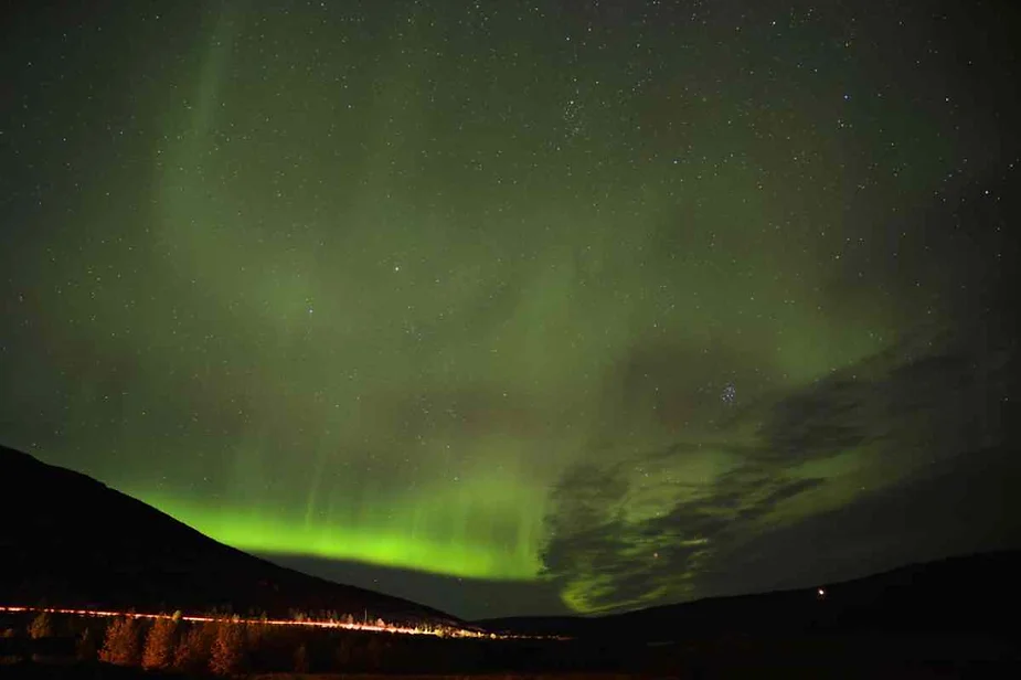 Brilliant green Northern Lights illuminating the night sky over a dark landscape with a faint line of trees and distant lights.