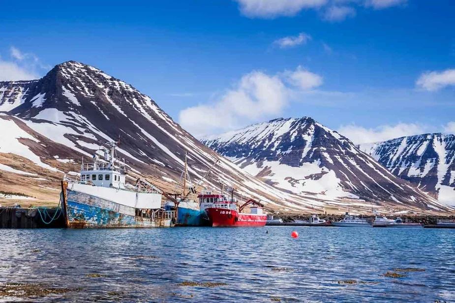 Colorful fishing boats docked at a harbor with snow-capped mountains in the background under a clear blue sky.