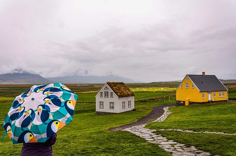 Person holding a colorful umbrella with puffin design, standing in front of traditional Icelandic turf houses and a yellow building in a lush green landscape