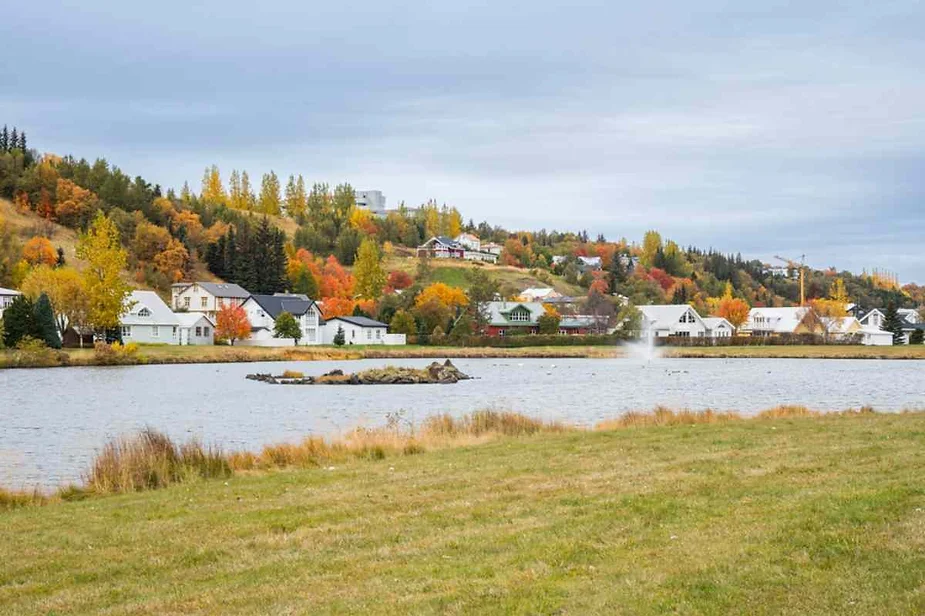 Peaceful lakeside view in Akureyri, Iceland, surrounded by colorful autumn trees and cozy houses under a cloudy sky.