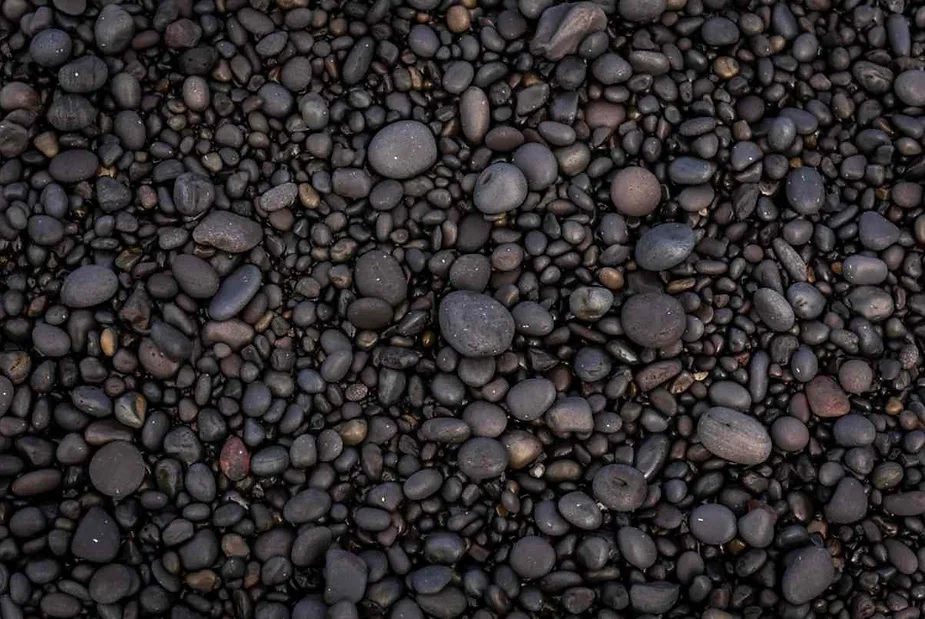 Close-up of smooth black pebbles covering a beach in Iceland, showcasing their natural texture and variety of shapes and sizes.