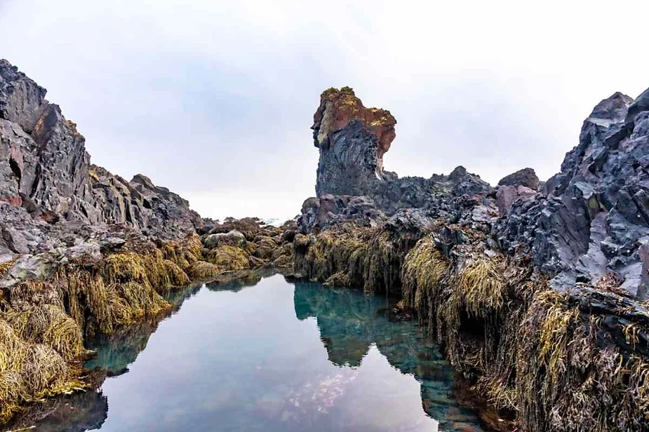 Rocky tidal pool with seaweed and towering volcanic rock formations along Iceland’s rugged coastline.