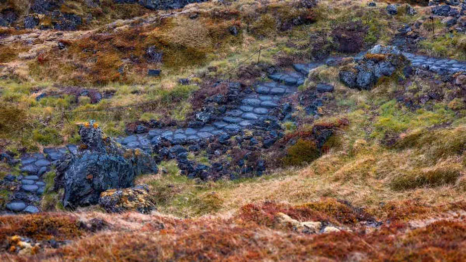 Winding stone path through a moss-covered volcanic landscape in Iceland, blending with the natural surroundings.