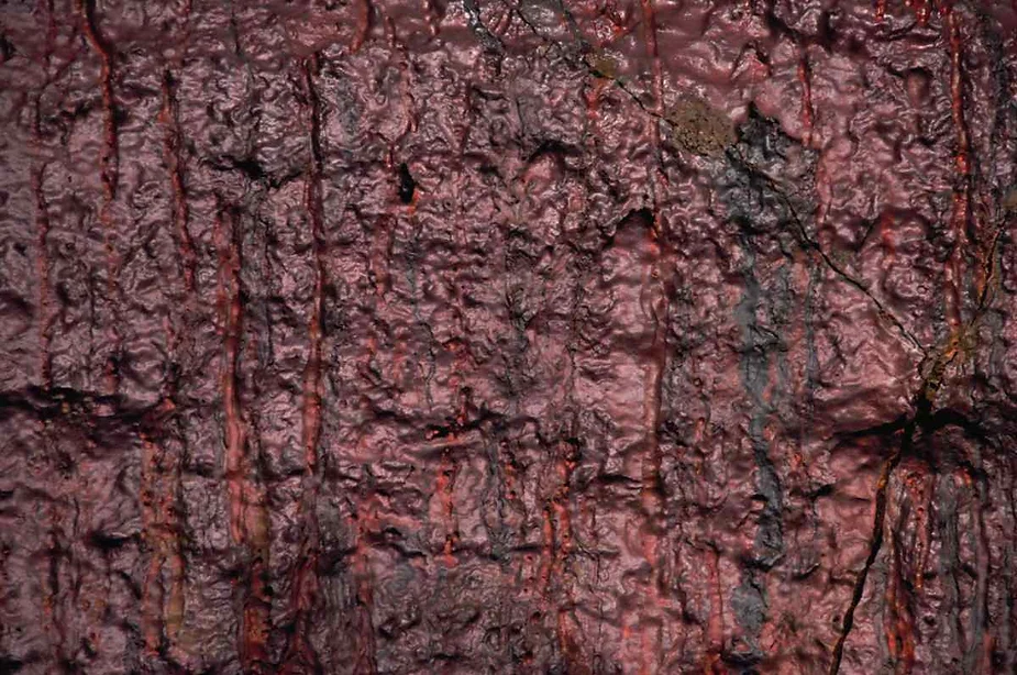 Close-up of a textured lava rock wall inside Vidgelmir Cave in Iceland, with deep red and dark brown hues, showcasing the intricate patterns formed by solidified lava.