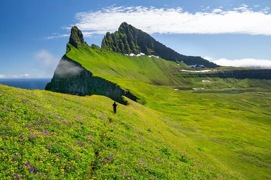 A solitary hiker walks along a lush green mountain path, surrounded by wildflowers, towards a rugged, pointed peak under a bright blue sky in Iceland