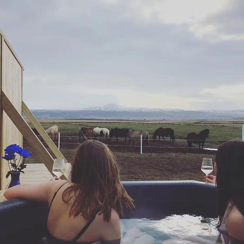 Guests relaxing in a hot tub at Field Art Room Guesthouse, Iceland, with views of Icelandic horses and scenic snow-capped mountains.