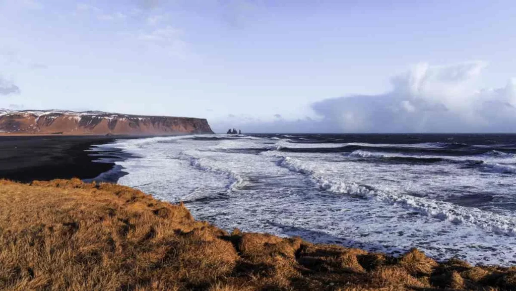 A panoramic view of Víkurfjara Black Sand Beach in Iceland, with waves crashing onto the shore under a cloudy sky. The beach's distinctive black sand contrasts sharply with the surrounding landscape, including the grassy cliffs in the foreground and the distant cliffs along the coast. The famous Reynisdrangar rock formations can be seen jutting out of the ocean in the distance. The scene captures the dramatic and rugged beauty of Iceland's coastline, characterized by its volcanic origins and dynamic weather patterns. The ocean appears powerful and untamed, embodying the wild essence of this iconic Icelandic location.