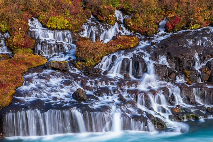 Beautiful Hraunfossar waterfall cascading over lava rocks surrounded by vibrant autumn foliage in Iceland.