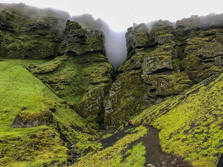 Hikers exploring the lush green Raudfeldsgja Canyon with misty cliffs in Iceland.