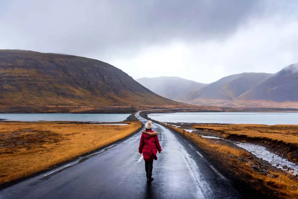 A person dressed in a red coat walks down a wet, winding road surrounded by the striking landscape of the Snaefellsjokull Peninsula in Iceland. The road stretches into the distance, flanked by calm waters and rolling hills covered in autumnal hues. The overcast sky and mist create a moody atmosphere, highlighting the remote and rugged beauty of the area. The solitary figure in the scene adds a sense of scale and solitude, emphasizing the expansive and untouched nature of the Icelandic wilderness.