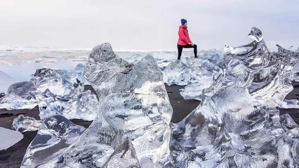 A striking image from Iceland's South Coast, showcasing large, clear ice formations scattered on the black sand beach. In the background, a person in a bright pink jacket and blue hat is seen standing among the ice, providing a sense of scale to the impressive scene. The contrast between the transparent ice, the dark sand, and the muted sky creates a surreal and breathtaking landscape. This view highlights the unique natural beauty and the rugged charm of Iceland's coastal region.