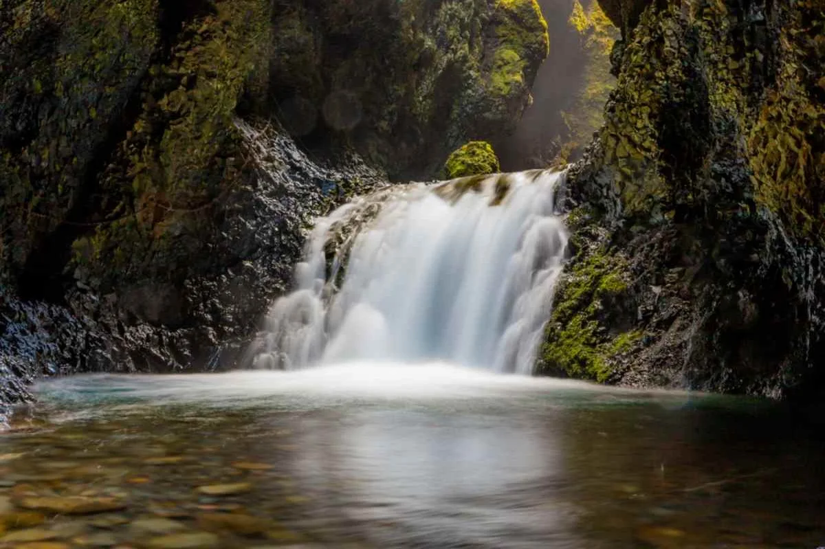 A stunning waterfall cascades into a calm pool, surrounded by moss-covered rocks and lush vegetation in Nauthúsagil Ravine, Iceland, showcasing the natural beauty and serenity of the area.