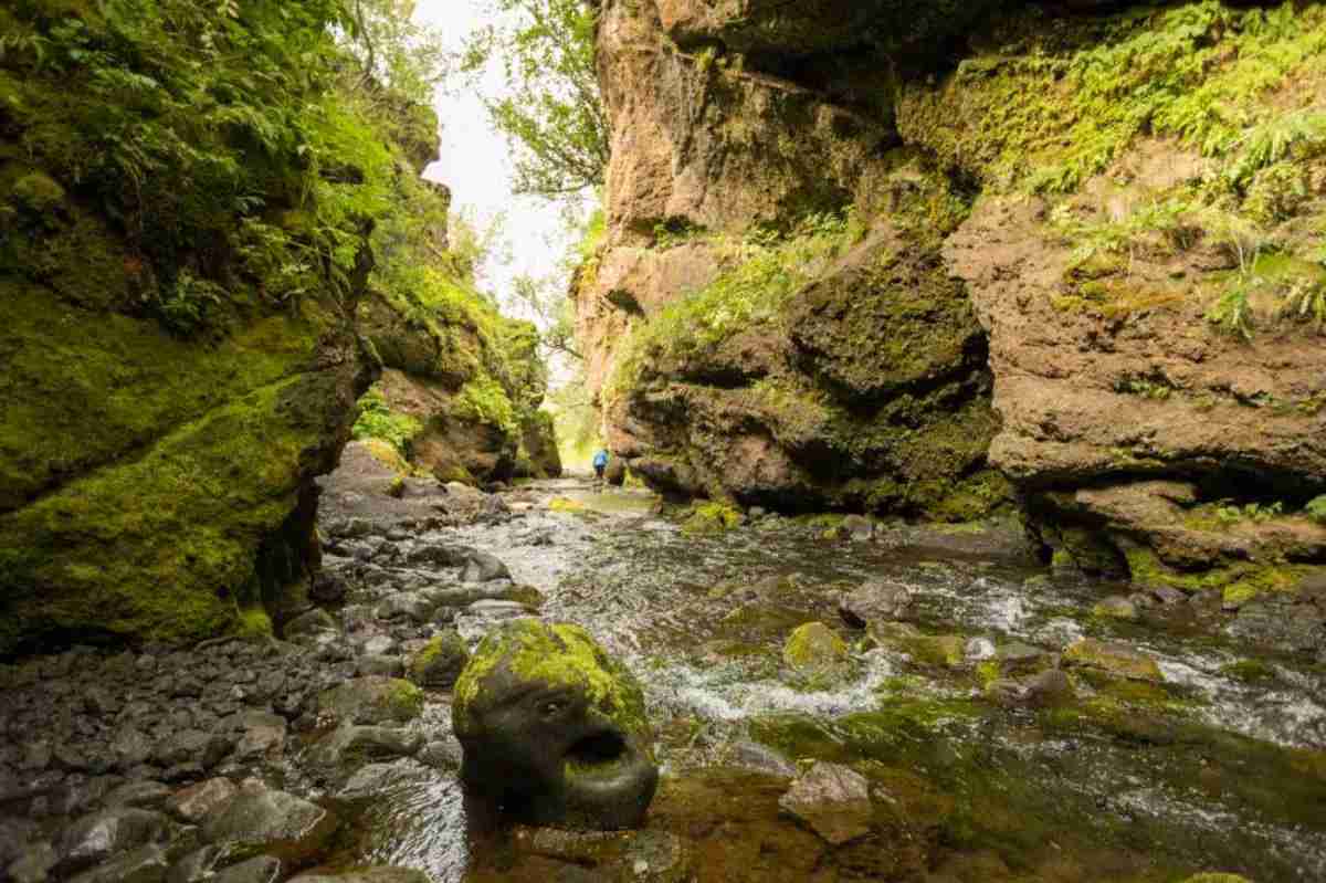 Narrow stream flowing through a lush green moss-covered canyon, with a person in the distance exploring the natural beauty of Nauthúsagil Ravine in Iceland.